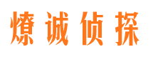 江北区调查取证